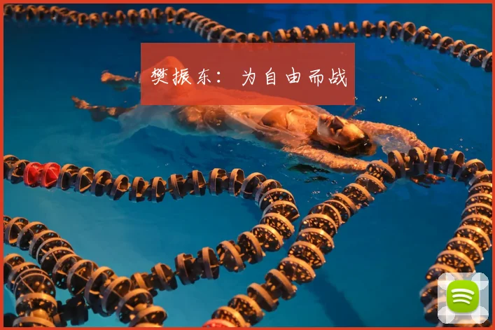 樊振东:为自由而战