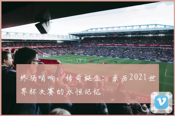 终场哨响，传奇诞生：亲历2021世界杯决赛的永恒记忆